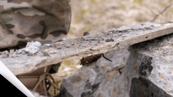 Gants tactiques résistants avec renforts antichocs | Montevall